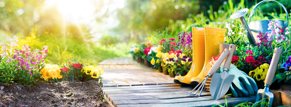 sunny garden with tools and boots