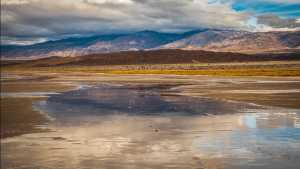 Flood in U.S. desert