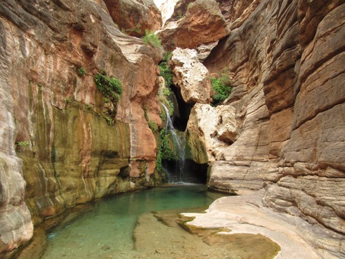 Peaceful Rock Chasm Waterfall